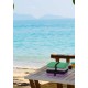 Πετσέτα Σώματος Solid Green 75X150 Espree Πετσέτα Σώματος Solid Green 75X150 Espree